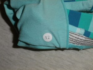 IMGP4373 Lululemon Turquoise , Green and Blue Striped Bra Top with Mesh Racerback 657
